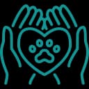 Exames e diagnósticos